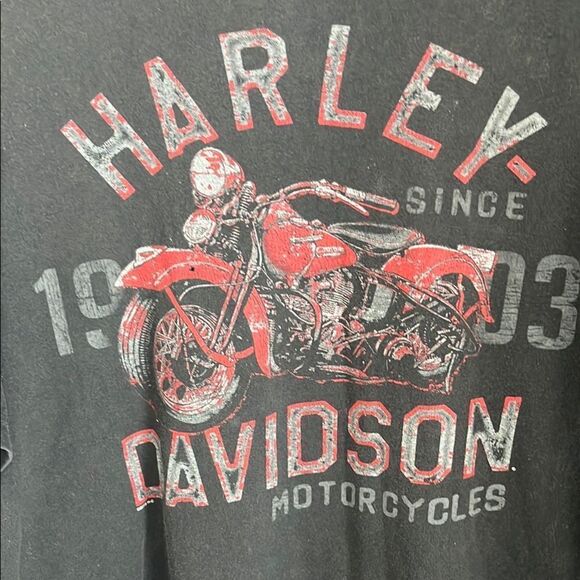 Harley-Davidson Berts Black Widow Dbl Graphic T-Shirt Unisex - Picture 2 of 6